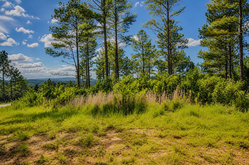 Lot 62 Seven Mile Creek Road Talking Rock GA 30175