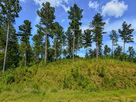 Lot 62 Seven Mile Creek Road Talking Rock GA 30175