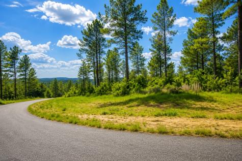 Lot 62 Seven Mile Creek Road Talking Rock GA 30175