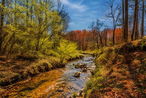 Lot 62 Seven Mile Creek Road Talking Rock GA 30175