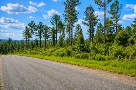 Lot 62 Seven Mile Creek Road Talking Rock GA 30175