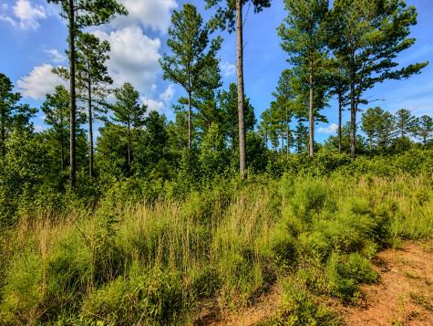 Lot 62 Seven Mile Creek Road Talking Rock GA 30175