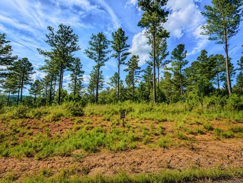 Lot 62 Seven Mile Creek Road Talking Rock GA 30175