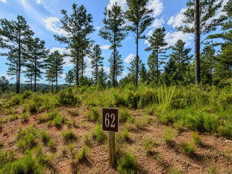 Lot 62 Seven Mile Creek Road Talking Rock GA 30175