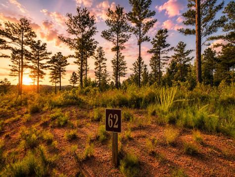 Lot 62 Seven Mile Creek Road Talking Rock GA 30175