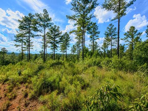Lot 62 Seven Mile Creek Road Talking Rock GA 30175