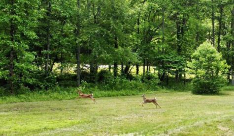 Tract 2 Timber Ridge Road Blairsville GA 30512