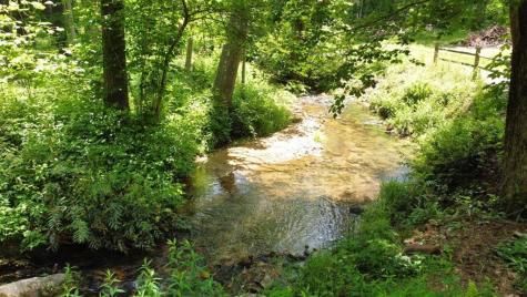 Tract 2 Timber Ridge Road Blairsville GA 30512