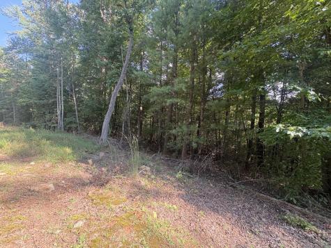 000 Macedonia Church Road Blue Ridge GA 30513