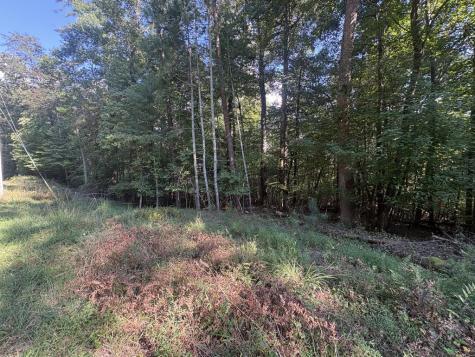 000 Macedonia Church Road Blue Ridge GA 30513