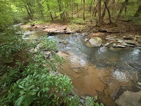 396 Mt. Springer Road Ellijay GA 30540