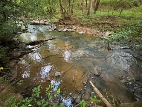 396 Mt. Springer Road Ellijay GA 30540