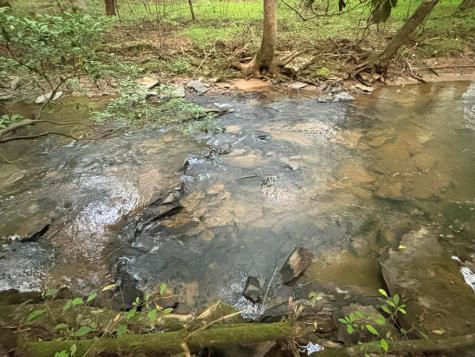 396 Mt. Springer Road Ellijay GA 30540