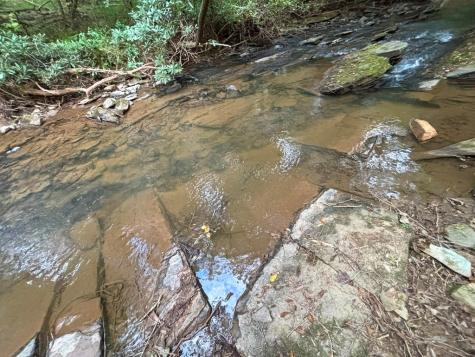 396 Mt. Springer Road Ellijay GA 30540