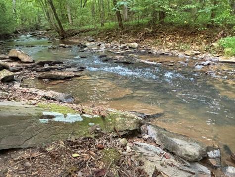 396 Mt. Springer Road Ellijay GA 30540