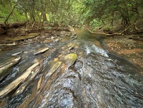 396 Mt. Springer Road Ellijay GA 30540