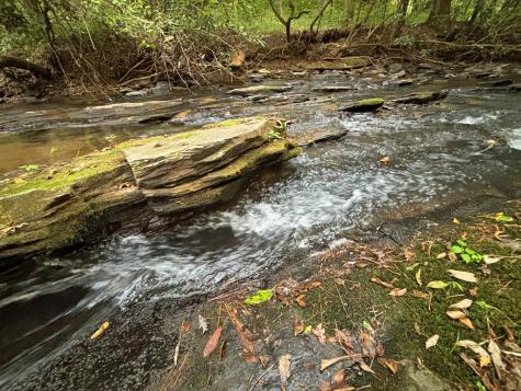 396 Mt. Springer Road Ellijay GA 30540