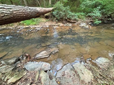 396 Mt. Springer Road Ellijay GA 30540