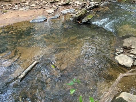 396 Mt. Springer Road Ellijay GA 30540