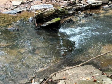 396 Mt. Springer Road Ellijay GA 30540