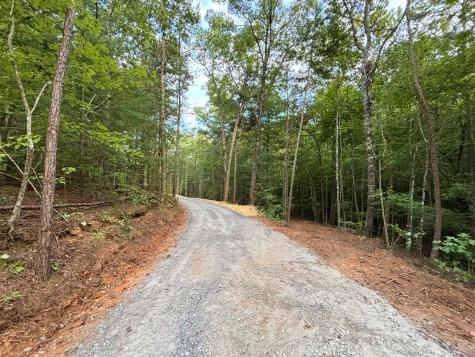 396 Mt. Springer Road Ellijay GA 30540