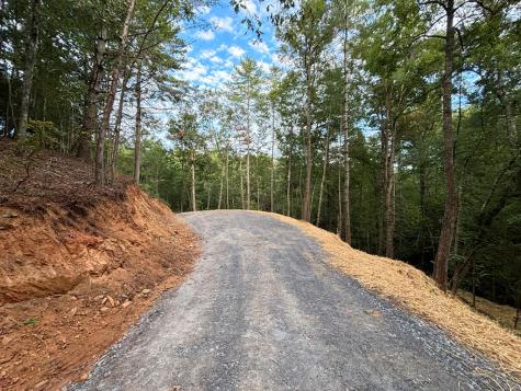 396 Mt. Springer Road Ellijay GA 30540
