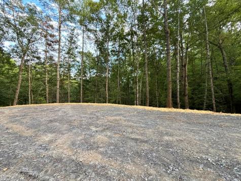 396 Mt. Springer Road Ellijay GA 30540