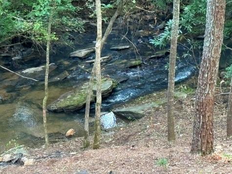 396 Mt. Springer Road Ellijay GA 30540