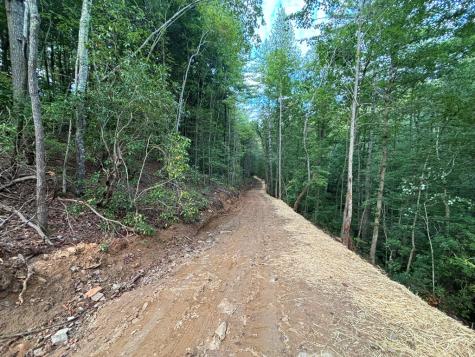 396 Mt. Springer Road Ellijay GA 30540