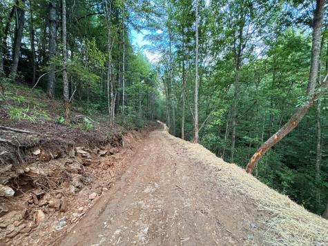 396 Mt. Springer Road Ellijay GA 30540