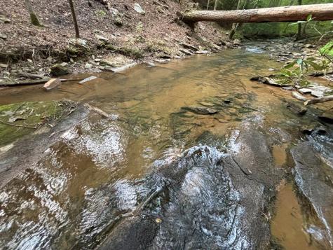 396 Mt. Springer Road Ellijay GA 30540