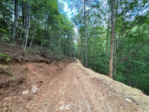 396 Mt. Springer Road Ellijay GA 30540