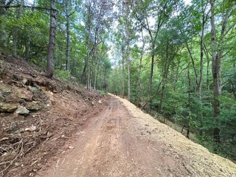 396 Mt. Springer Road Ellijay GA 30540