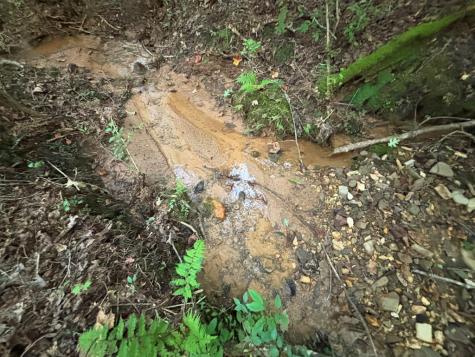 396 Mt. Springer Road Ellijay GA 30540