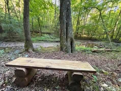 396 Mt. Springer Road Ellijay GA 30540