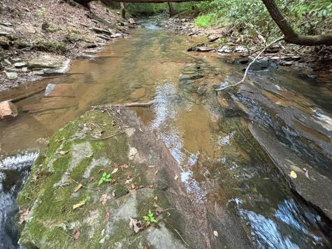 396 Mt. Springer Road Ellijay GA 30540