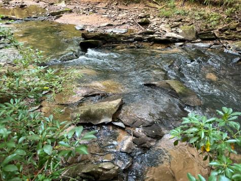 396 Mt. Springer Road Ellijay GA 30540