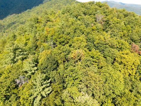 00 Hillbilly Holler Hayesville NC 28904