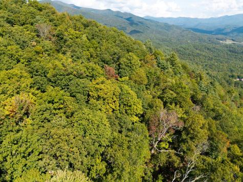 00 Hillbilly Holler Hayesville NC 28904