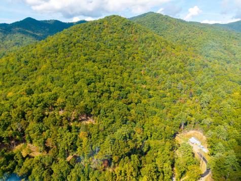 00 Hillbilly Holler Hayesville NC 28904