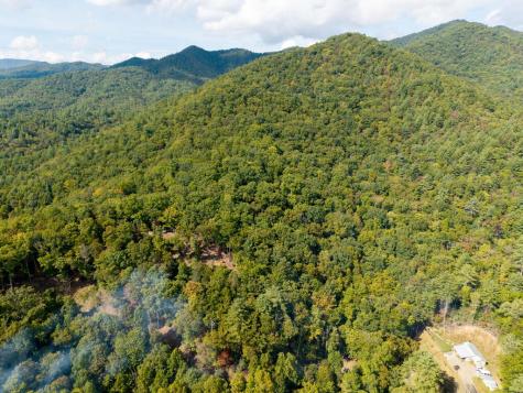 00 Hillbilly Holler Hayesville NC 28904