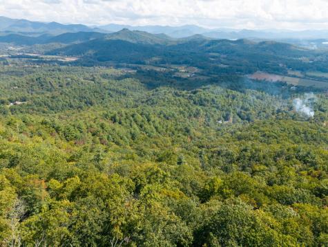 00 Hillbilly Holler Hayesville NC 28904