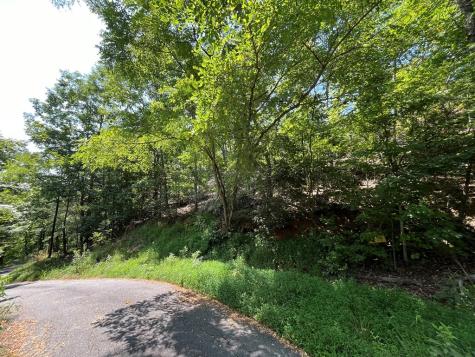 Lot 14 Bell Lake View Hayesville NC 28904