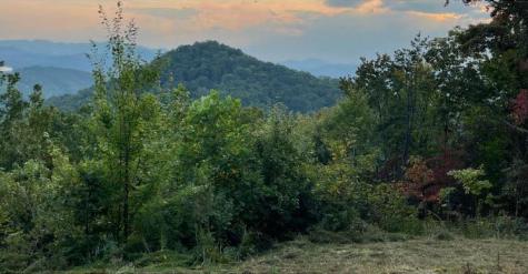 Lot 14 Bell Lake View Hayesville NC 28904