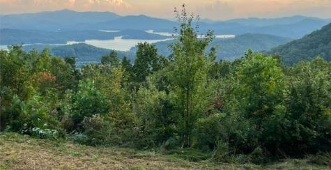 Lot 14 Bell Lake View Hayesville NC 28904
