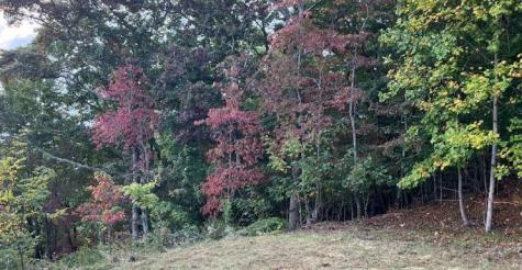 Lot 14 Bell Lake View Hayesville NC 28904