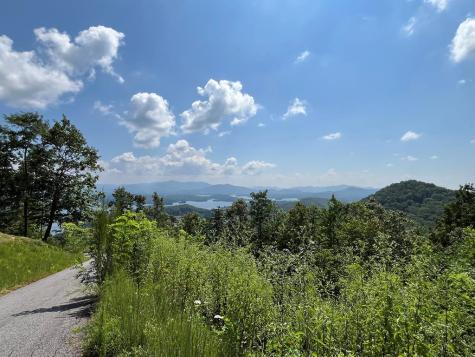 Lot 14 Bell Lake View Hayesville NC 28904