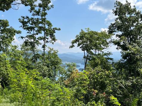 Lot 14 Bell Lake View Hayesville NC 28904