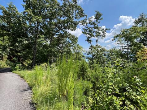 Lot 14 Bell Lake View Hayesville NC 28904
