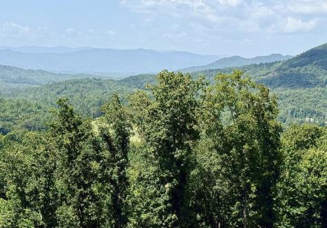 Lot 25 Grand Laurel Brasstown NC 28902